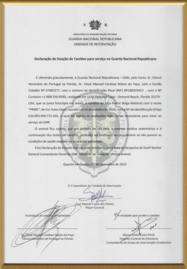 Declaração de Doação de Canídeo para Serviço na Guarda Nacional Republicana César DePaço